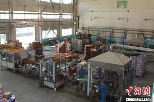 一桶漆里的國(guó)家重器 甘肅化工五十載破壟斷，技術(shù)精華鑄就重點(diǎn)工程新底色